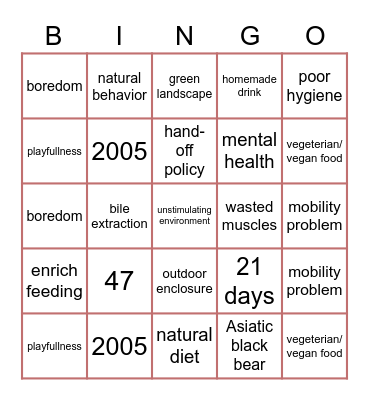 BEAR SANCTUARY Bingo Card