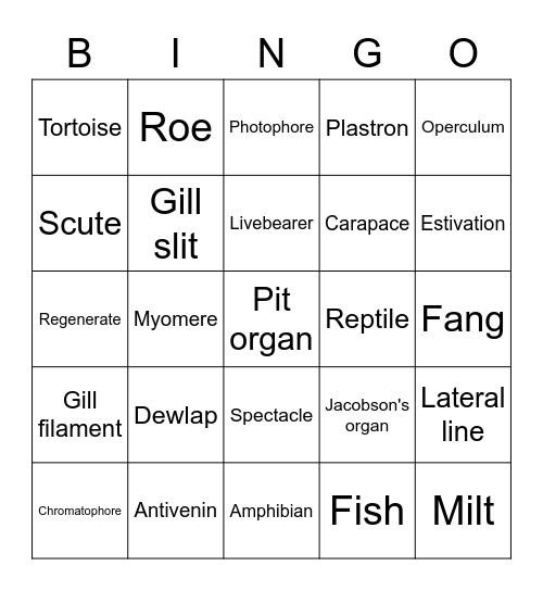 Order and Design Chapter 8 review Bingo Card