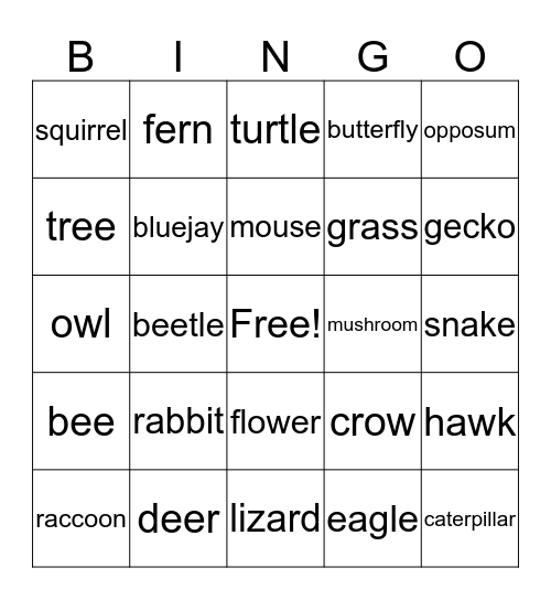 In the forest Bingo Card