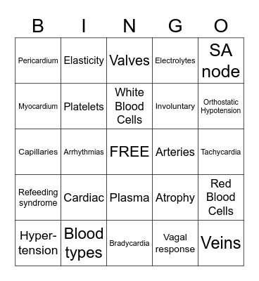 Circulatory System Bingo Card