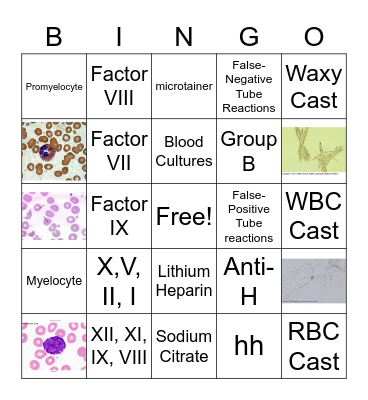 Lab-week 2023 Bingo Card