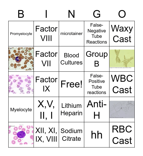 Lab-week 2023 Bingo Card