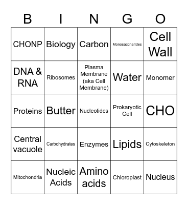 Biology Review 1 Bingo Card