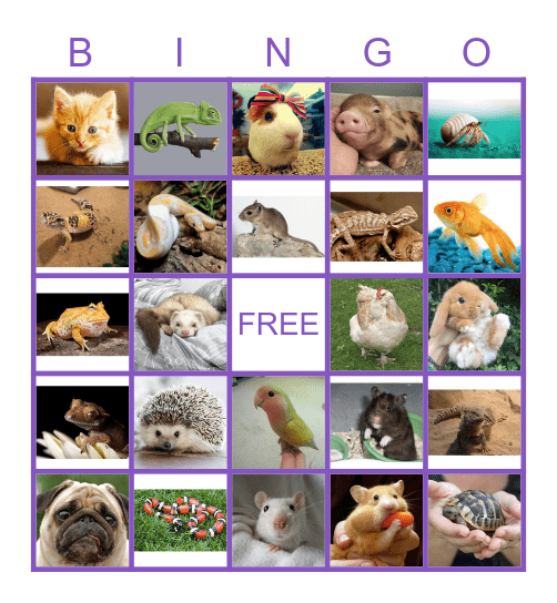 Pet Bingo Card