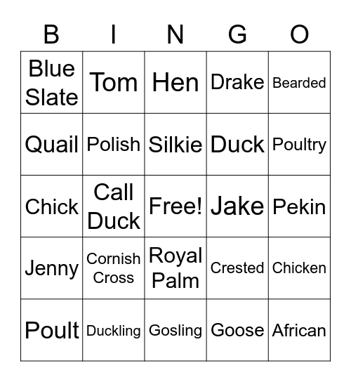 Chicken Bingo Card