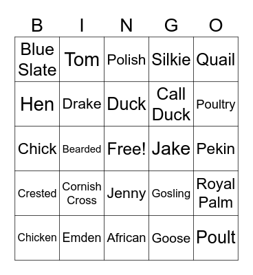 Chicken Bingo Card