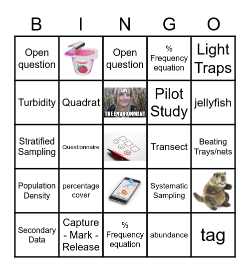 Lucky Six Bingo Card