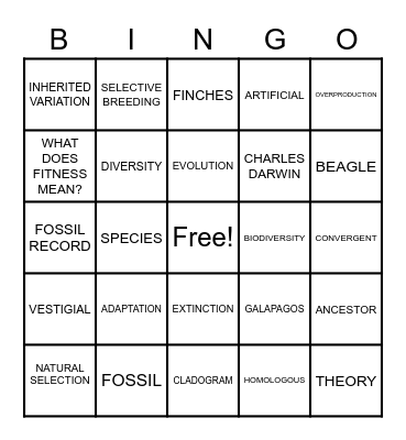 EVOLUTION Bingo Card