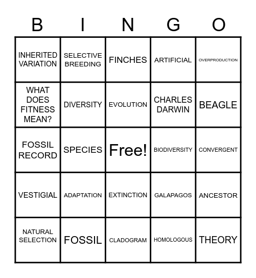 EVOLUTION Bingo Card