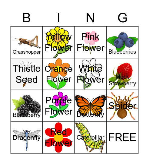 Bugs and Blooms Bingo Card