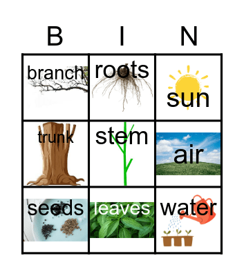 PLANTS Bingo Card