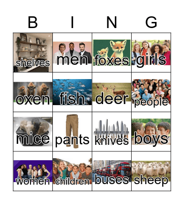 plural nouns Bingo Card