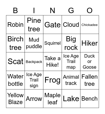 Langlade IAT Bingo Card