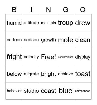 Long Vowels words Bingo Card