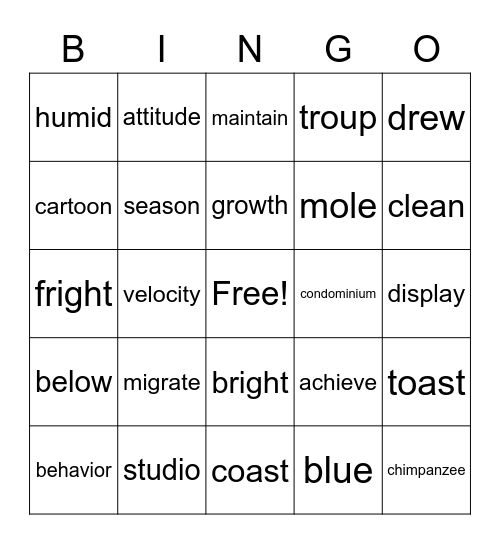 Long Vowels words Bingo Card