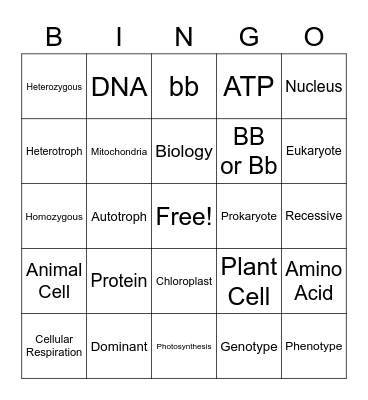 EOC Review Bingo Card