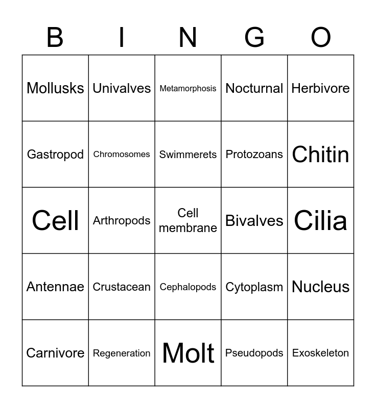 6th science review chapter 2 Bingo Card