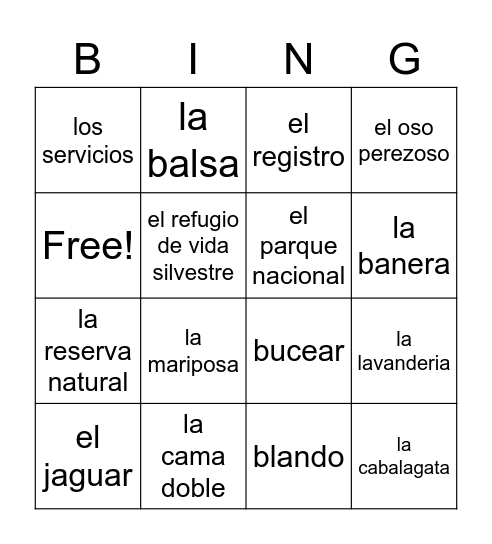 6B Vocabulario Bingo Card