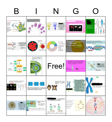 Vocabulary Bingo Card