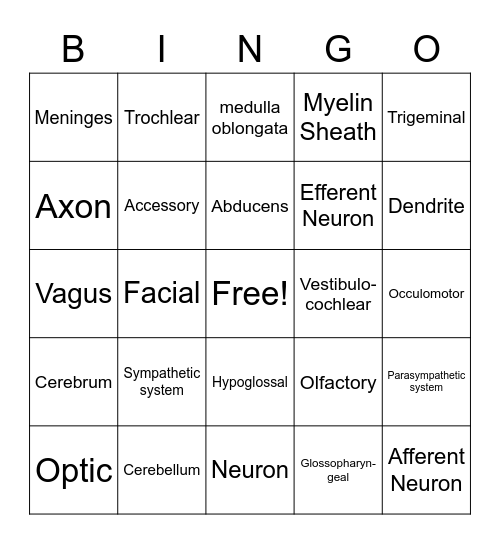 Nervous System Bingo Card