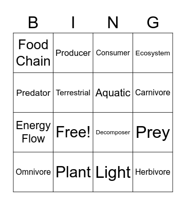 Food Chain BINGO Card