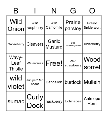 Wild Edible Plans of Easter KS/Western Mo Bingo Card