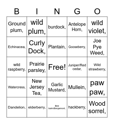 Plants NE Kansas, W MO Edibles Bingo Card