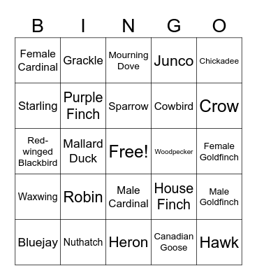 Birdwatching Bingo Card