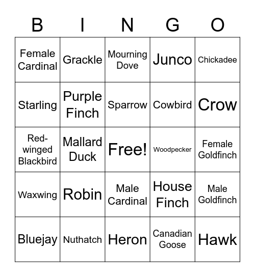 Birdwatching Bingo Card