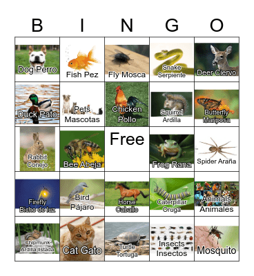 Animals/Insects Bingo Card