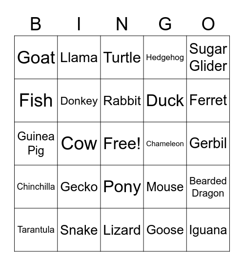 Pets Bingo Card