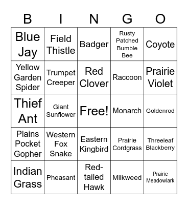 Prairie Species Bingo Card