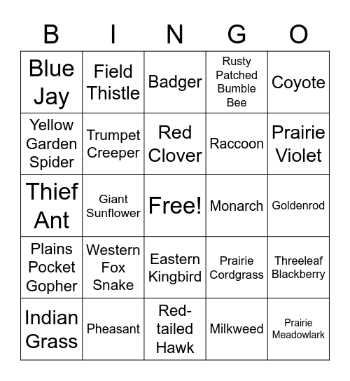 Prairie Species Bingo Card