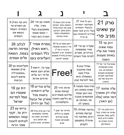 ט"ו בשבט Bingo Card