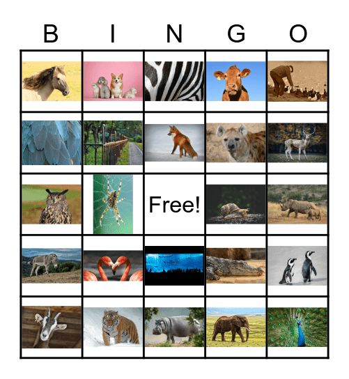 Dieren versie 2 Bingo Card