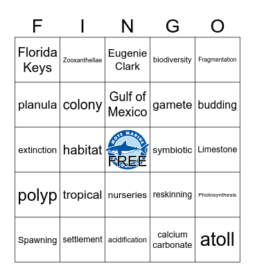 SEA: Coral Reef Ecosystems Bingo Card