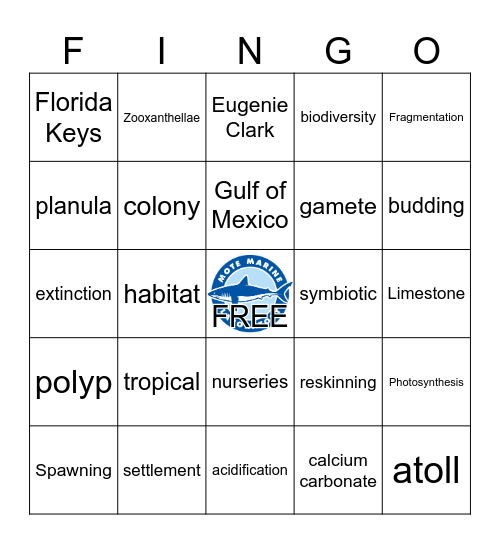 SEA: Coral Reef Ecosystems Bingo Card