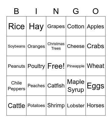 States and What They Produce Bingo Card