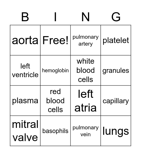 Cardiovascular/Blood Bingo Card