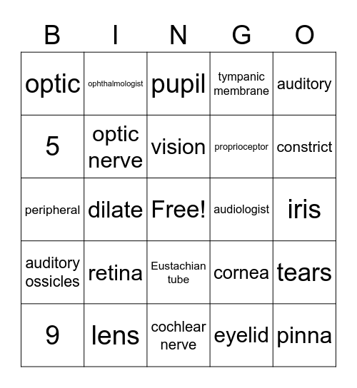 Senses - Eyes and Ears Bingo Card