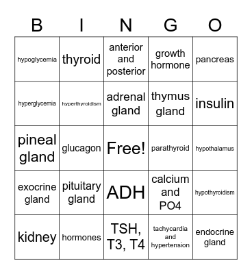 Endocrine System Bingo Card