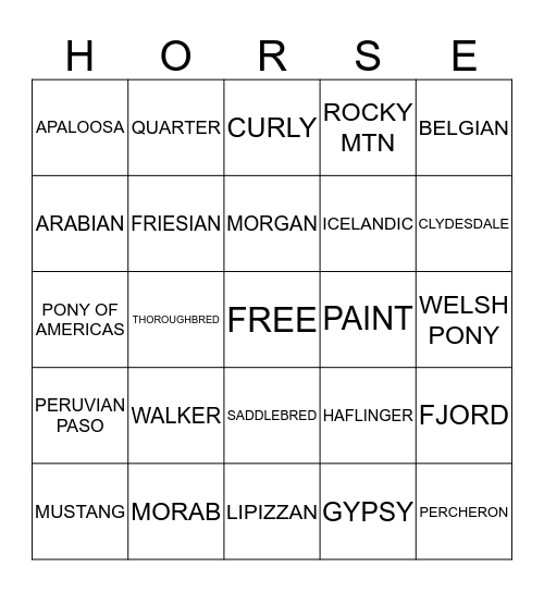 HORSE BREED Bingo Card