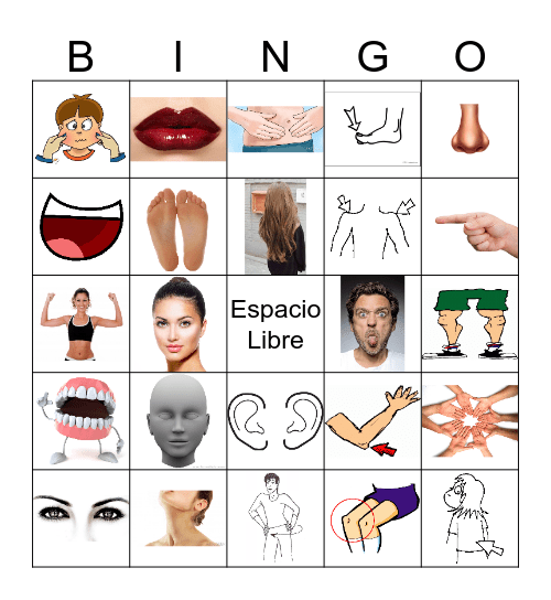Partes del cuerpo Bingo Card
