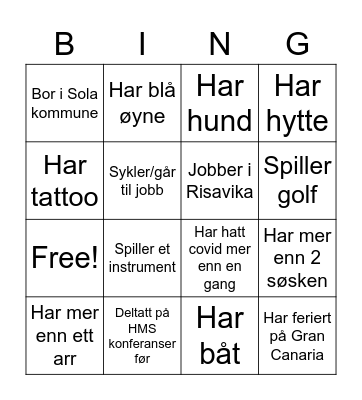 Hvem er du? Bingo Card