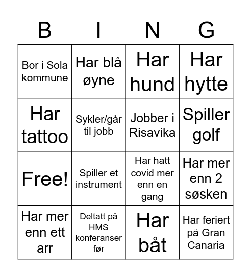 Hvem er du? Bingo Card