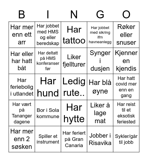 Hvem er du? Bingo Card