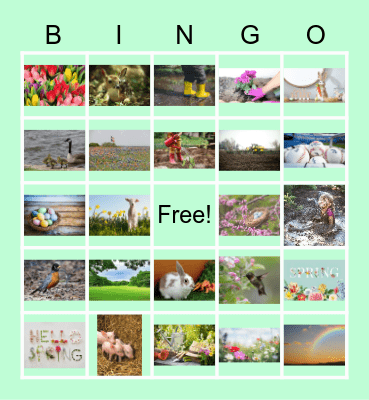 Spring BINGO! Bingo Card