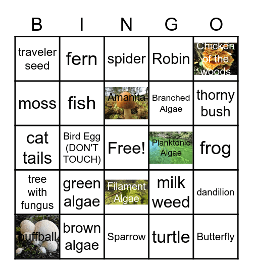 Outdoor Bingo Card