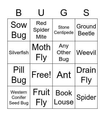 Bug Bingo! Bingo Card