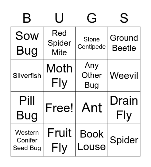 Bug Bingo! Bingo Card